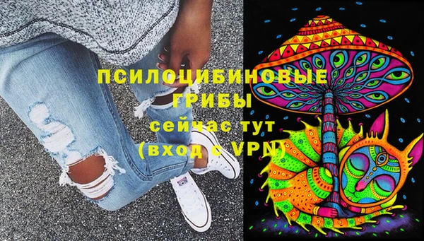 a pvp Краснослободск