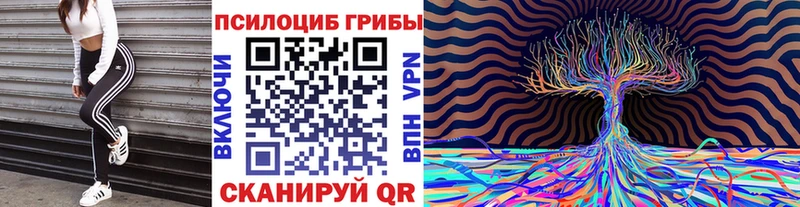 наркота  Ильский  Галлюциногенные грибы прущие грибы 